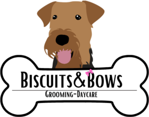 Dog Grooming and Daycare company logo